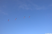 EUROCUP STACK 2011 CERVIA00115